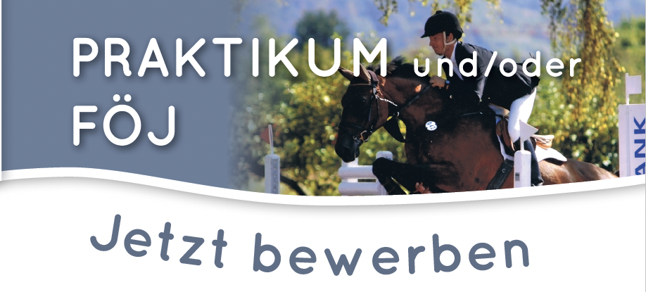 Flyer Praktikumsplatz und Freiwilliges Ökologisches Jahr 2024